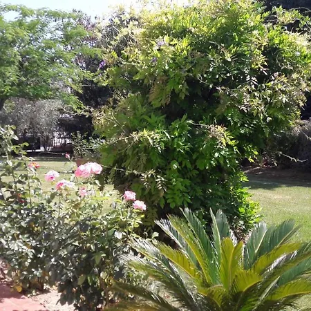 Fabbri Bed & Breakfast