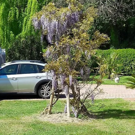 Bed and Breakfast Fabbri