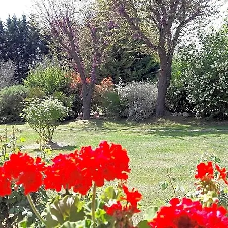 Fabbri 3* Gradara