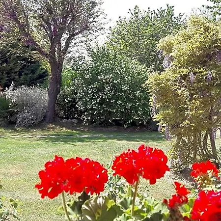 Bed and Breakfast Fabbri