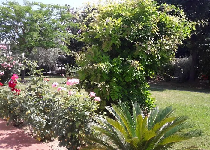 Fabbri Bed & Breakfast