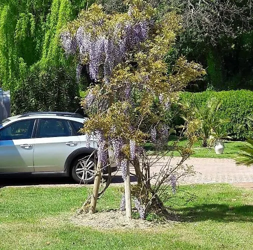 Bed & Breakfast Fabbri